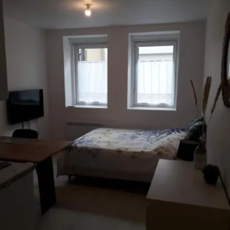 Διαμέρισμα Louthalia Congres Centre Ρενς